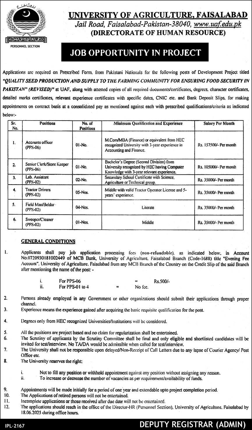 Fresh Government Job Vacancies 2025 University of Agriculture Faisalabad (UAF) Apply Online