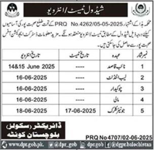 Latest Education Job 2025 Education Department of Balochistan Sohbatpur Apply Online